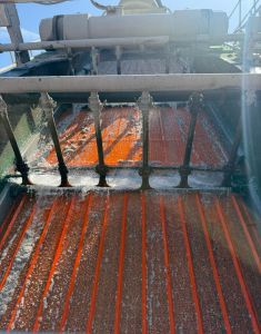 A Technical Guide to Preventing Polyurethane Screen Failures