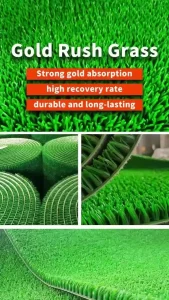 Gold Rush Grass