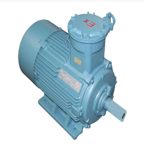 ADJUSTABLE SPEED MOTOR